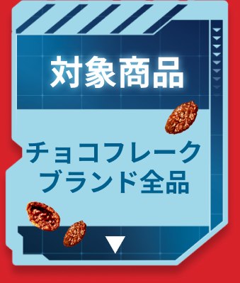 対象商品 チョコフレークブランド全品